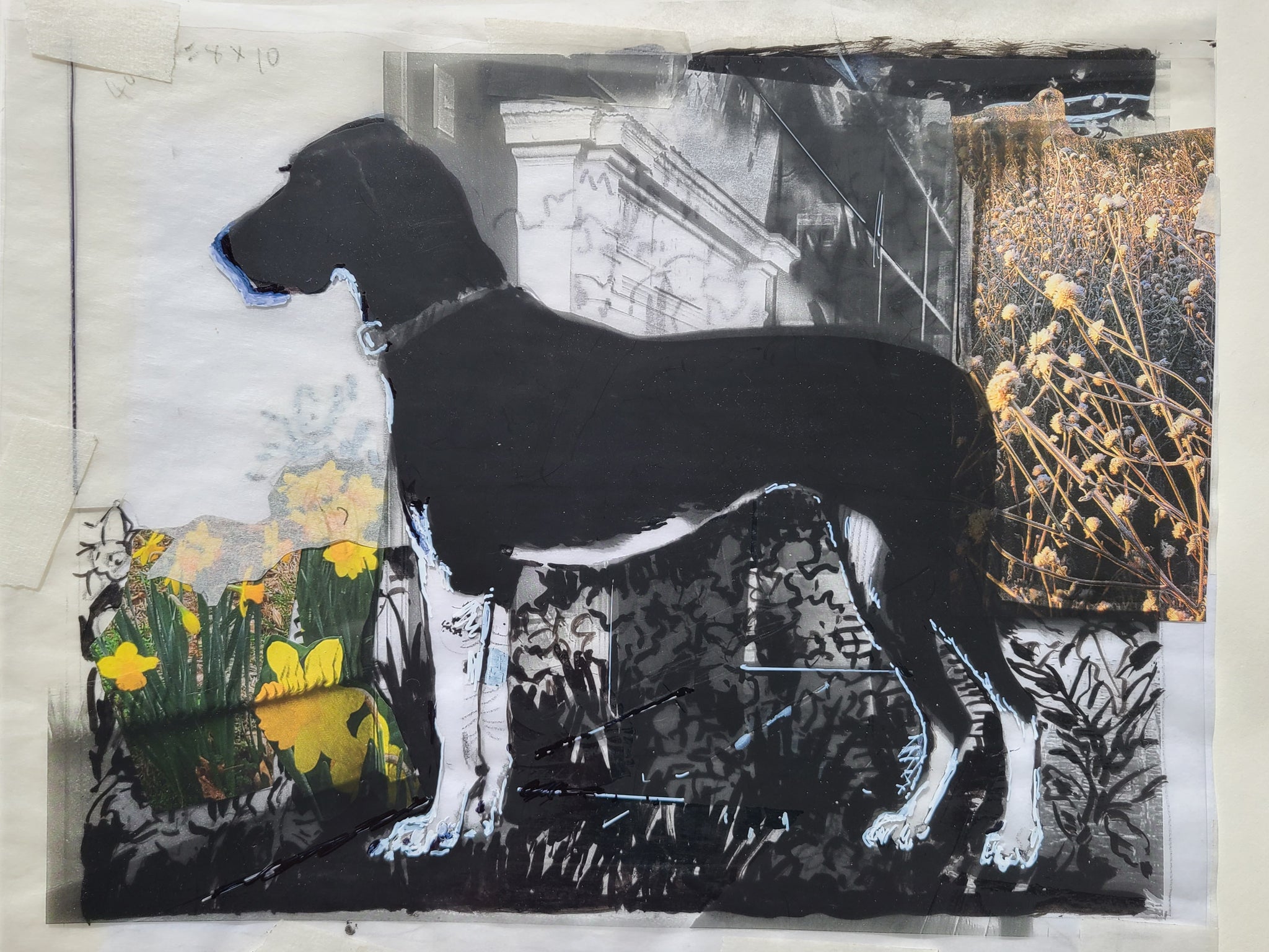 Yiren Gallagher – sketch for Great Dane with Flowers