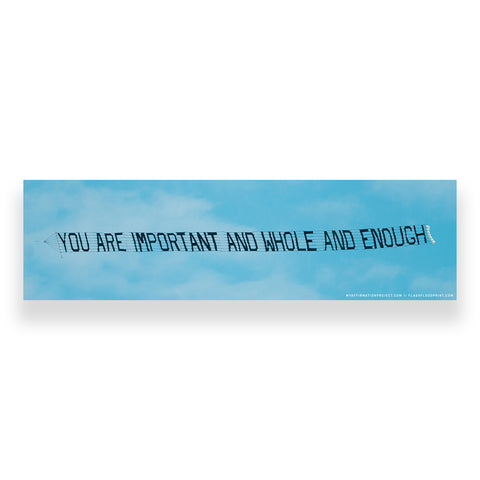 My Affirmation Project – You Are Important Bumper Sticker